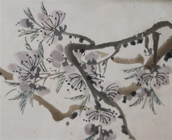 A Chinese picture of blossom